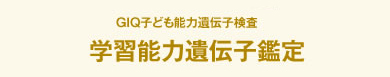 学習能力遺伝子鑑定のみ